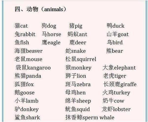 英语老师：还去啥补习班，背熟这14张图，孩子6年都不愁