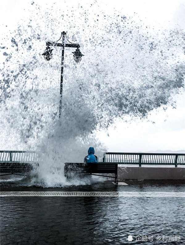 2017年国家地理会德丰青年摄影大赛获奖作品赏析