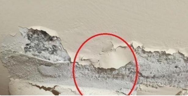 墙壁起泡脱落发霉太难看？这个土方法就能搞定，一共不到几块钱