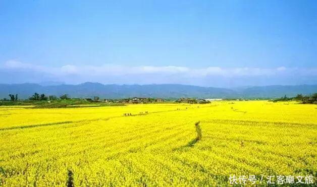 2018湖南油菜花赏花地图出炉！最美线路全包了！