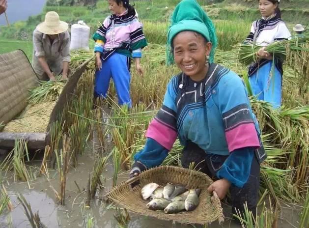 《中国少数民族美食》之哈尼族特色小吃