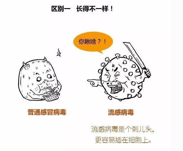 漫画图解：普通感冒和流感的区别