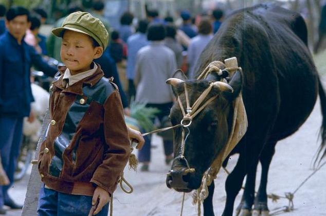 老照片: 八十年代的中国