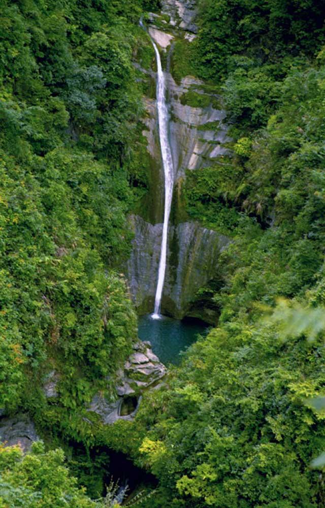 湘西吕洞山，出产中国最贵茶的地方