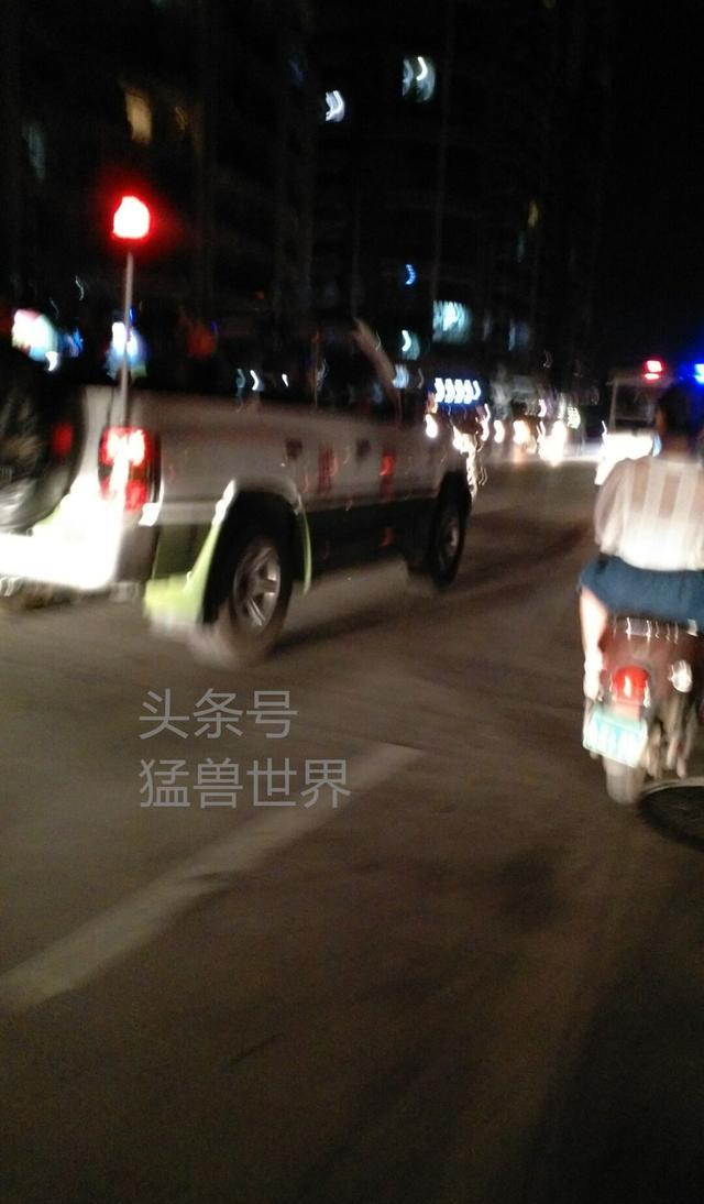 夏至探访“玉林狗肉节“情景及内幕，真实的狗肉节原来是这样