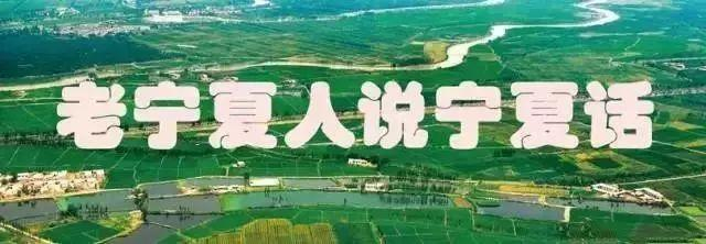 宁夏方言大全，看看你能过几级！