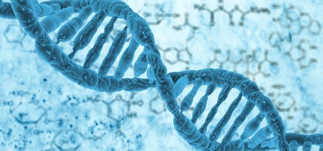 高中生物：基因工程重要知识点总结