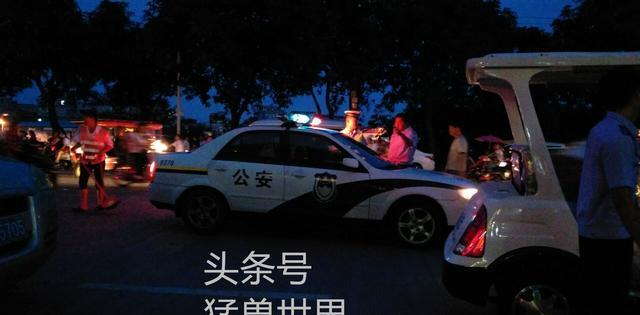 夏至探访“玉林狗肉节“情景及内幕，真实的狗肉节原来是这样