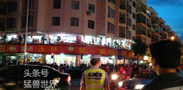 夏至探访“玉林狗肉节“情景及内幕，真实的狗肉节原来是这样