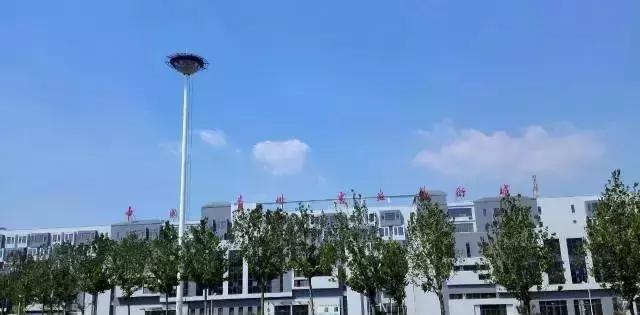 2017端午节青州古城最强三天游线路攻略！