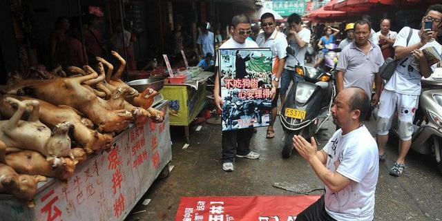 夏至探访“玉林狗肉节“情景及内幕，真实的狗肉节原来是这样