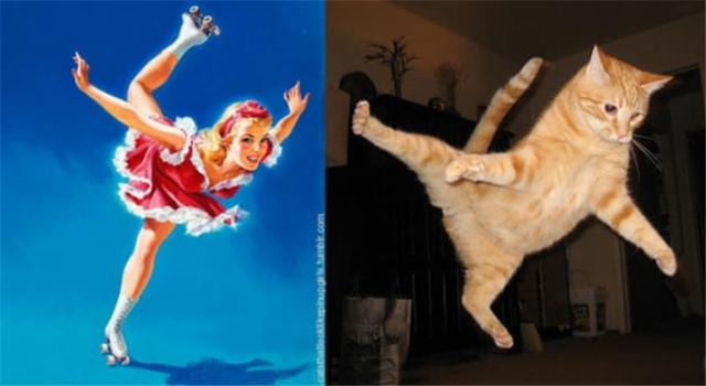 13张超性感猫咪来袭,可爱和性感的猫咪你更喜欢哪一个?