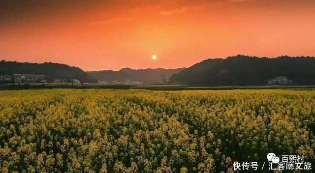 2018湖南油菜花赏花地图出炉！最美线路全包了！