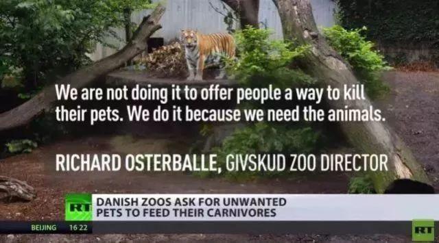 动物园：把不要的宠物捐给我们喂狮子吧！