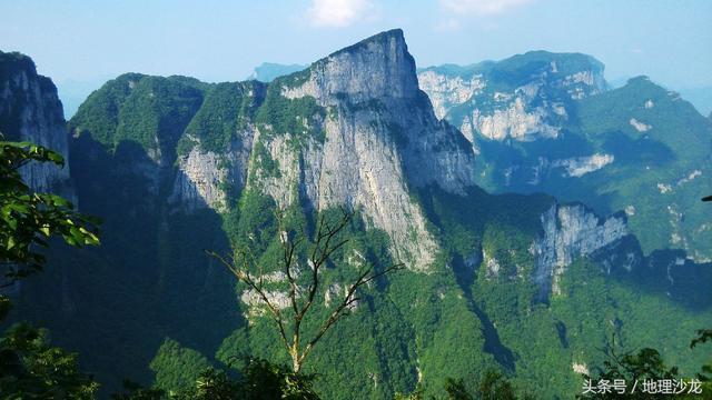 中国森林覆盖率最高的十个省份！