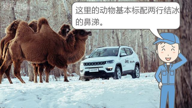 谁说城市SUV不能踏雪走冰，Jeep四驱SUV北疆探秘