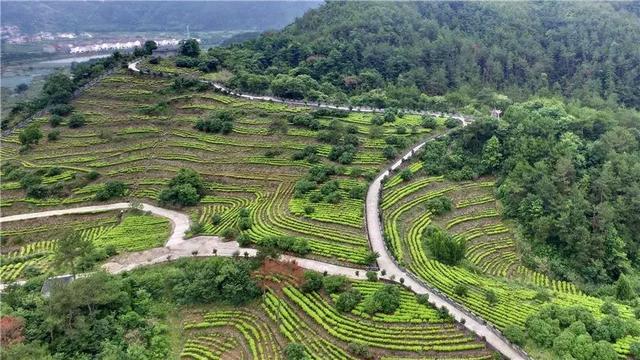 “名县美城，全域旅游”天台最美村镇大展示——白鹤、街头篇