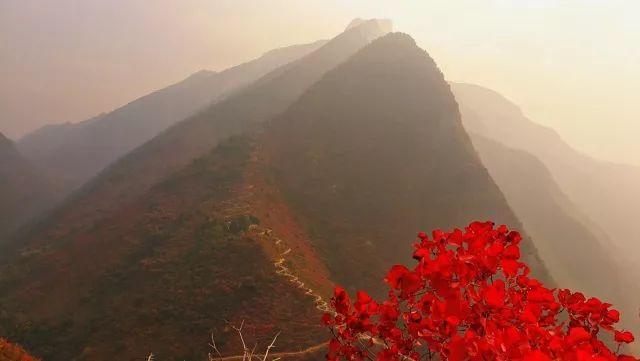 徒步危石鸟道，登临三峡之巅，奉节县打造中国最美步道