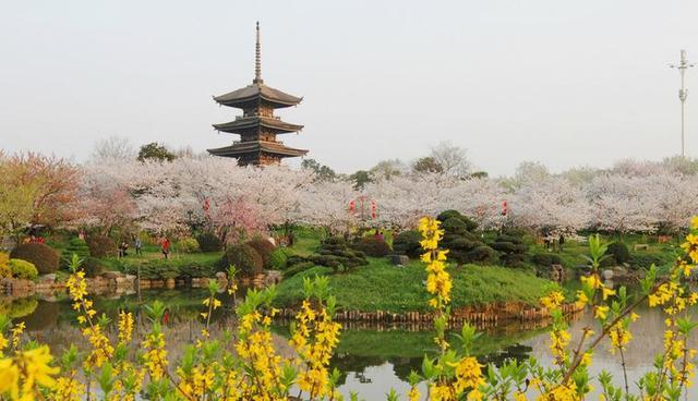 東湖綠道二期最新游玩攻略，值得一看！