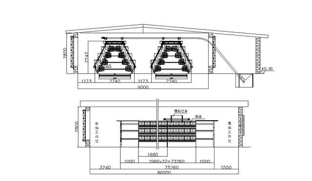 建一个养殖1万只蛋鸡的养鸡场需要投资多少?