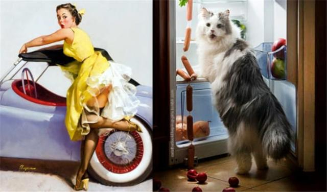 13张超性感猫咪来袭,可爱和性感的猫咪你更喜欢哪一个?