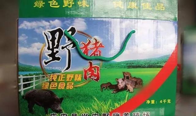 付广锋绿色养殖野猪让放心肉香飘四方