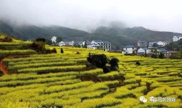 江西最美的乡村旅游名单出炉！奉新一村庄上榜，是你们村吗？