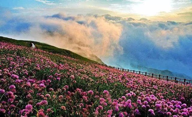 各地等级划分出炉，毕节居然排在……，你的家乡是几线城市呢？