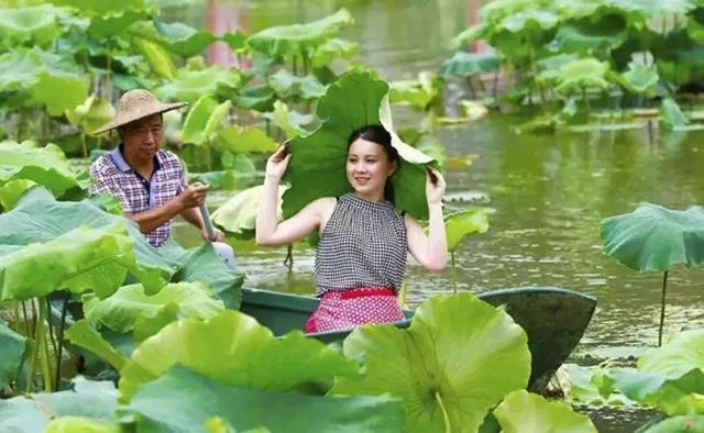 浙江最美赏花胜地, 临安有四个入围, 你都去过了吗?