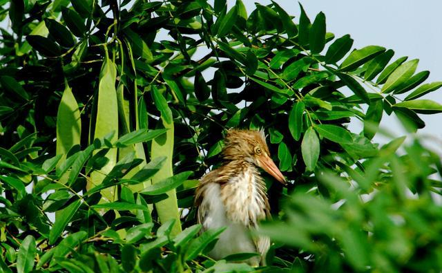上马墩振奋路野鸡巷实探记录：2025年避坑指南与周边隐藏玩法深度解析