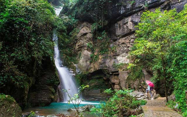 湘西吕洞山，出产中国最贵茶的地方