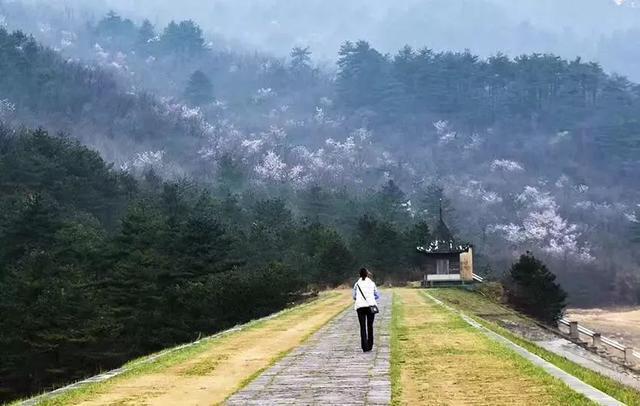 浙江最美赏花胜地, 临安有四个入围, 你都去过了吗?