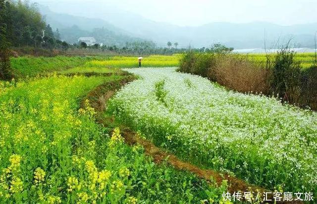 2018湖南油菜花赏花地图出炉！最美线路全包了！