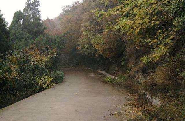 女孩中途下车一直未归,大巴司机看到惊人一幕!