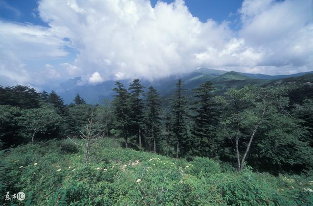 盘点中国十大山脉高峰排行，这些又高又美的山，它居然排第二？