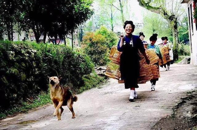 走进中国鸟笼艺术之乡，贵州丹寨卡拉村