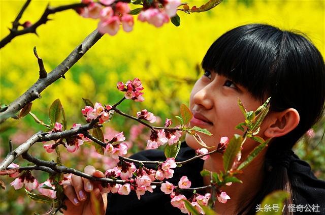 木瓜花都，开7色花，7万亩木瓜三月变花海，美女寻芳来来来