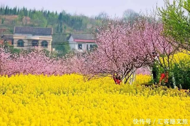 2018湖南油菜花赏花地图出炉！最美线路全包了！