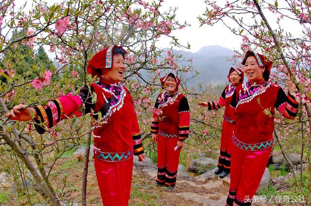 木瓜花都，开7色花，7万亩木瓜三月变花海，美女寻芳来来来