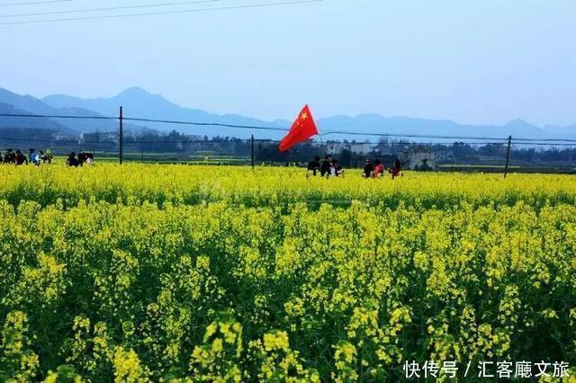 2018湖南油菜花赏花地图出炉！最美线路全包了！