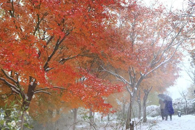 又双叒冷空气来袭，内蒙古部分地区再迎降雪！