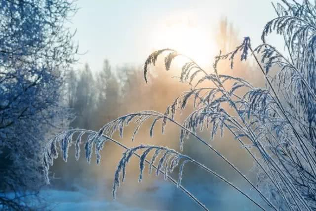 【原创】读诗人墨缘诗情《渔家傲·腊月(词林正韵)》有感