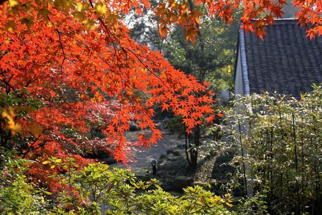 西湖边鲜为人知的古园林系列——溯源千年，葛岭上的玛瑙寺