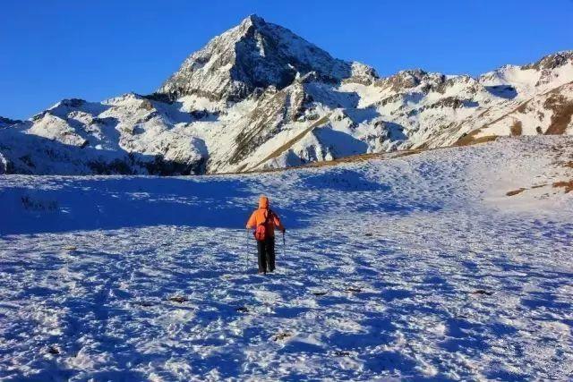 雪乡又爆出宰客事件，旅行圈一片哗然！