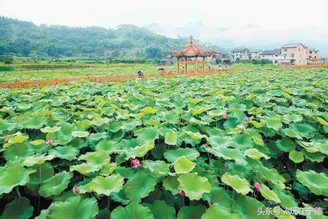 宁德蕉城旅游攻略大全！你收藏了吗？