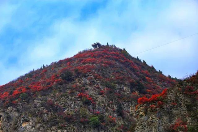 徒步危石鸟道，登临三峡之巅，奉节县打造中国最美步道