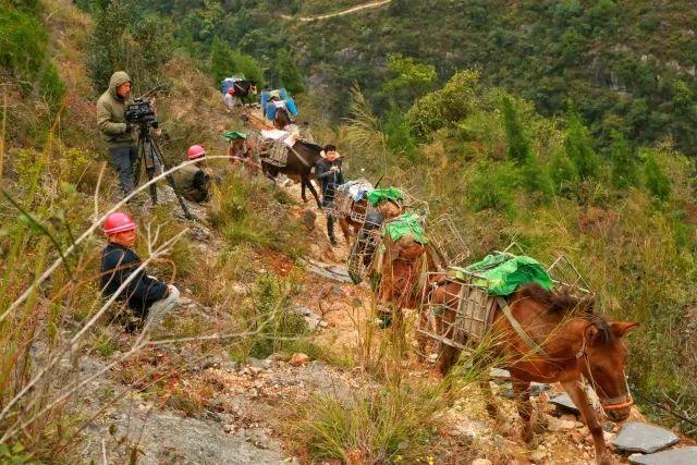 徒步危石鸟道，登临三峡之巅，奉节县打造中国最美步道