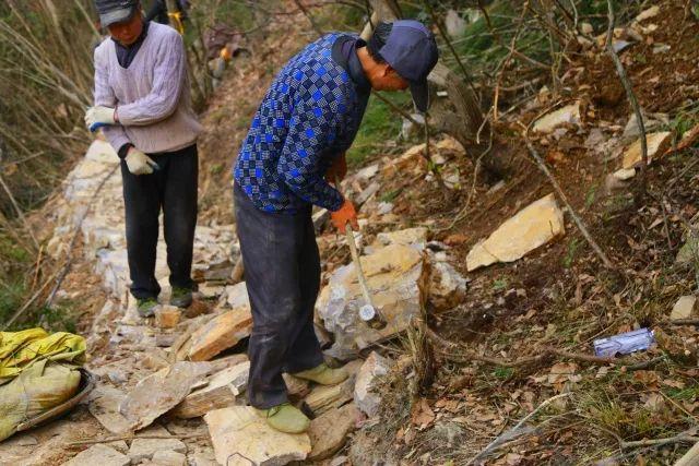 徒步危石鸟道，登临三峡之巅，奉节县打造中国最美步道