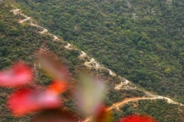 徒步危石鸟道，登临三峡之巅，奉节县打造中国最美步道