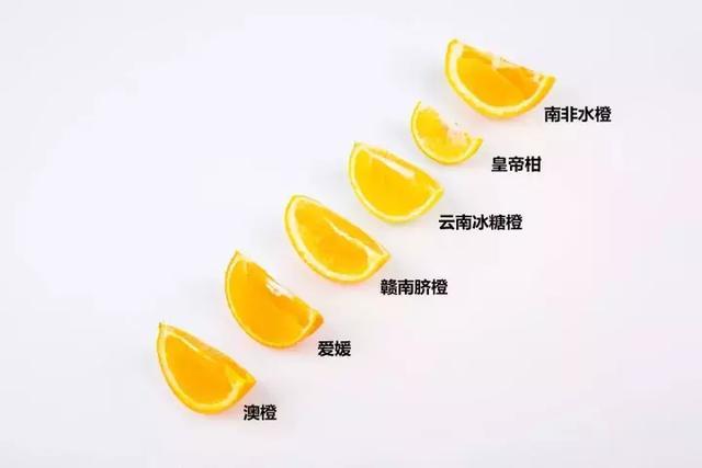 橙子测评丨超市常见的5种橙子，哪一种最好吃？